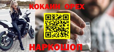 крисы Партизанск