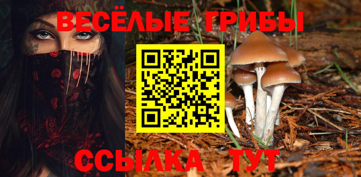 наркота  Псилоцибиновые грибы Psilocybe  Вход с VPN  Петрозаводск 